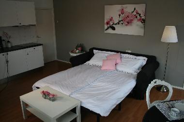 Appartement de vacances /en/au Zandvoort (Noord-Holland)ou appartement ou maison de vacances