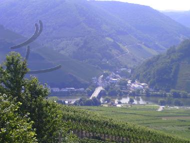 Appartement de vacances /en/au Zell-Mosel (Mosel - Saar)ou appartement ou maison de vacances