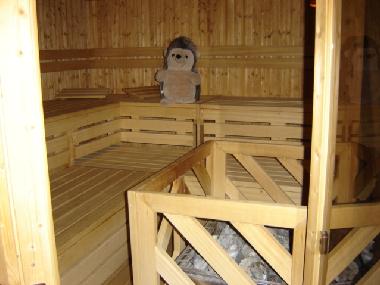 Maison de vacances /en/au Sauerthal (Rheintal, Lahn, Taunus)ou appartement ou maison de vacances