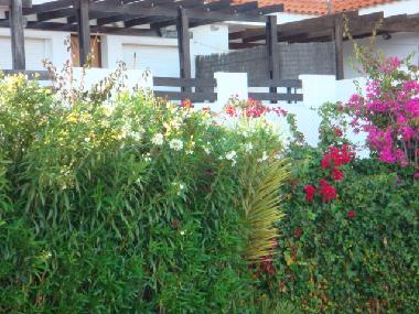 Appartement de vacances �/en/au Manilva (M�laga)ou appartement ou maison de vacances