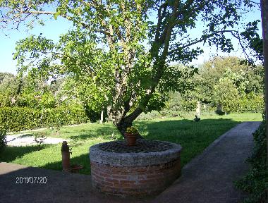 Maison de vacances �/en/au castelnuovo berardenga Siena (Siena)ou appartement ou maison de vacances