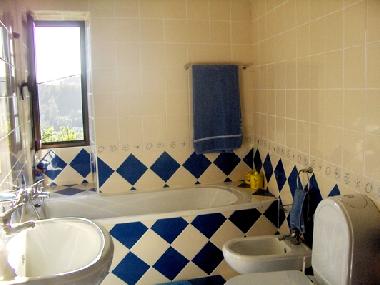 Villa /en/au Macieira de Alcoba (gueda, Aveiro) (Baixo Vouga)ou appartement ou maison de vacances