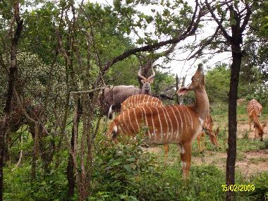 Chalet �/en/au St Michael