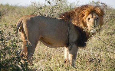 Chalet �/en/au St Michael