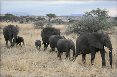 Chalet �/en/au St Michael