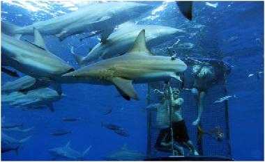 Chalet �/en/au St Michael