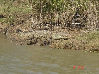 Chalet �/en/au St Michael