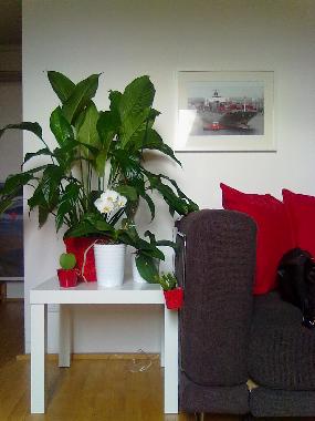 Appartement de vacances �/en/au genoa (Genova)ou appartement ou maison de vacances