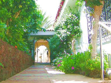 Villa /en/au Puerto de la Cruz (Teneriffa)ou appartement ou maison de vacances