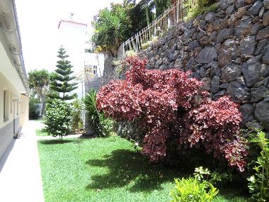 Villa /en/au La Matanz (Teneriffa)ou appartement ou maison de vacances