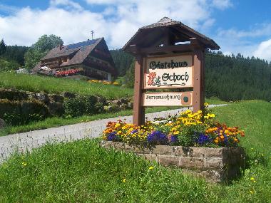 Appartement de vacances /en/au Bad-Rippoldsau (Schwarzwald)ou appartement ou maison de vacances