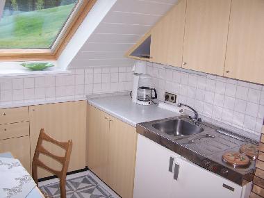 Appartement de vacances /en/au Bad-Rippoldsau (Schwarzwald)ou appartement ou maison de vacances