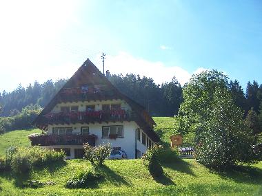 Appartement de vacances /en/au Bad-Rippoldsau (Schwarzwald)ou appartement ou maison de vacances