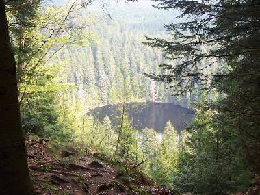 Appartement de vacances /en/au Bad-Rippoldsau (Schwarzwald)ou appartement ou maison de vacances