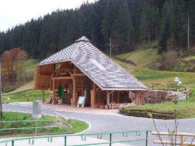 Appartement de vacances /en/au Bad-Rippoldsau (Schwarzwald)ou appartement ou maison de vacances