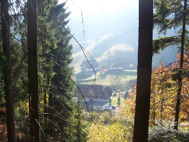 Appartement de vacances /en/au Bad-Rippoldsau (Schwarzwald)ou appartement ou maison de vacances