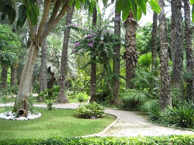 Appartement de vacances /en/au Torrevieja (Alicante / Alacant)ou appartement ou maison de vacances