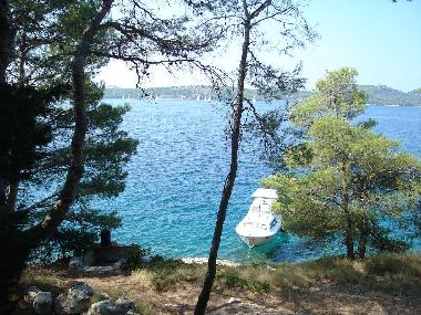 Maison de vacances /en/au Insel Lavdare (Zadarska)ou appartement ou maison de vacances