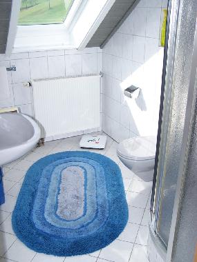 Appartement de vacances /en/au Bad-Rippoldsau (Schwarzwald)ou appartement ou maison de vacances