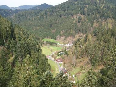 Appartement de vacances /en/au Bad-Rippoldsau (Schwarzwald)ou appartement ou maison de vacances