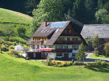 Appartement de vacances /en/au Bad-Rippoldsau (Schwarzwald)ou appartement ou maison de vacances