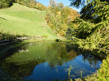 Appartement de vacances /en/au Tschagguns (Bludenz-Bregenzer Wald)ou appartement ou maison de vacances