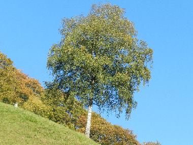 Appartement de vacances /en/au Tschagguns (Bludenz-Bregenzer Wald)ou appartement ou maison de vacances