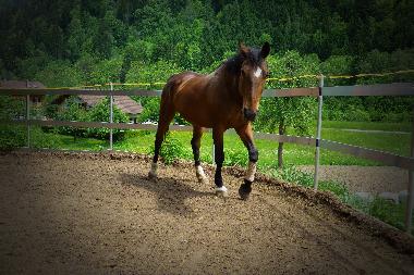 Appartement de vacances /en/au Tschagguns (Bludenz-Bregenzer Wald)ou appartement ou maison de vacances