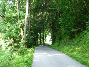 Appartement de vacances /en/au Tschagguns (Bludenz-Bregenzer Wald)ou appartement ou maison de vacances