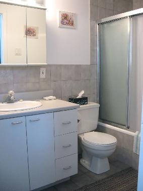 Maison de vacances �/en/au Saint-Scholastique (Quebec)ou appartement ou maison de vacances