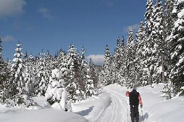 Maison de vacances �/en/au Saint-Scholastique (Quebec)ou appartement ou maison de vacances