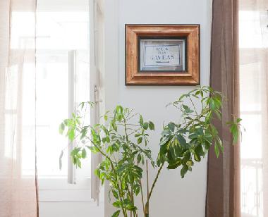 Appartement de vacances /en/au Lisbon (Grande Lisboa)ou appartement ou maison de vacances