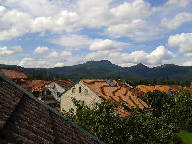 Maison de vacances /en/au freconrupt (Bas-Rhin)ou appartement ou maison de vacances