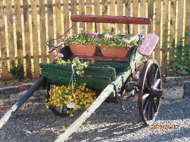 Maison de vacances �/en/au Somova (Tulcea)ou appartement ou maison de vacances