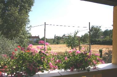 Maison de vacances �/en/au Zminj (Istarska)ou appartement ou maison de vacances