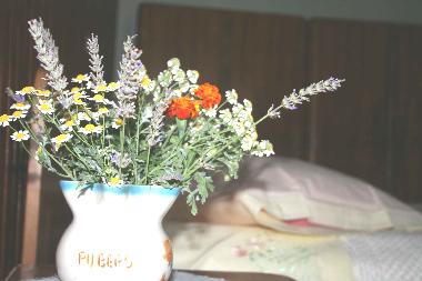 Maison de vacances �/en/au Zminj (Istarska)ou appartement ou maison de vacances