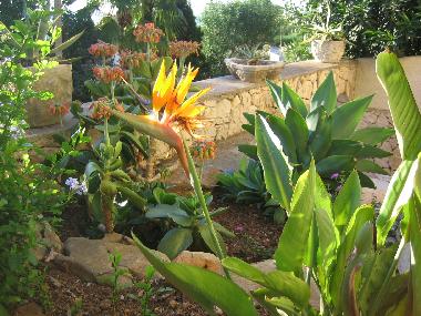 Appartement de vacances /en/au Benissa (Alicante / Alacant)ou appartement ou maison de vacances