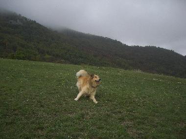 Maison de vacances �/en/au Fabriano (Ancona)ou appartement ou maison de vacances