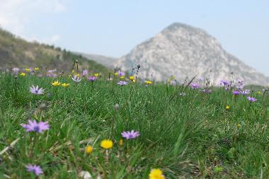 Maison de vacances �/en/au Fabriano (Ancona)ou appartement ou maison de vacances