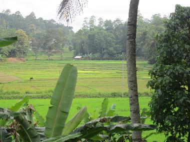 Maison de vacances �/en/au Kandy-Gelioya (Kandy)ou appartement ou maison de vacances