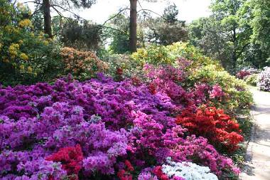 Appartement de vacances /en/au Dresden (Schsische Schweiz)ou appartement ou maison de vacances