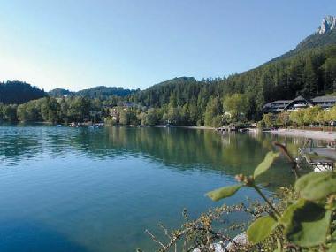 Maison de vacances /en/au Bad Goisern (Traunviertel)ou appartement ou maison de vacances