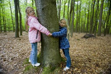 Maison de vacances /en/au Noordwijk (Zuid-Holland)ou appartement ou maison de vacances