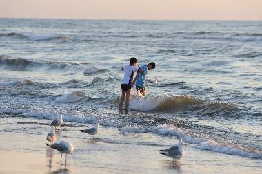 Maison de vacances /en/au Noordwijk (Zuid-Holland)ou appartement ou maison de vacances
