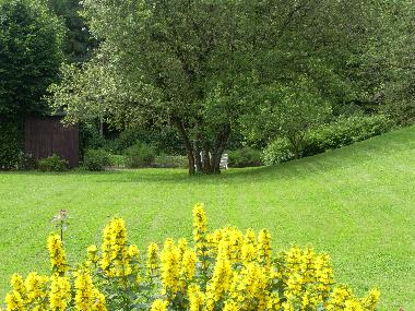 Maison de vacances /en/au Hellenthal (Eifel und Region Aachen)ou appartement ou maison de vacances