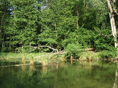 Maison de vacances /en/au Krutyn (Warminsko-Mazurskie)ou appartement ou maison de vacances