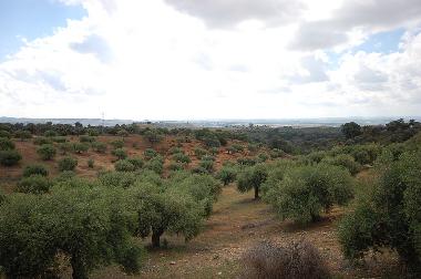 Maison de vacances �/en/au Villanuevas del Rio y Minas (Sevilla)ou appartement ou maison de vacances