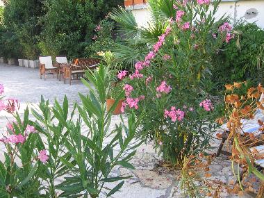 Appartement de vacances /en/au Zadar (Zadarska)ou appartement ou maison de vacances