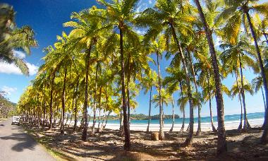 Maison de vacances �/en/au Playa Buena Vista, Esterones de Samara (Guanacaste)ou appartement ou maison de vacances