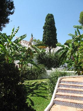 Appartement de vacances �/en/au Nueva Andaluc�a (M�laga)ou appartement ou maison de vacances